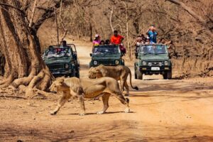 gir-national-park