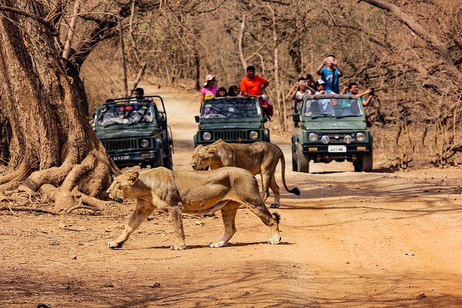 gir-national-park